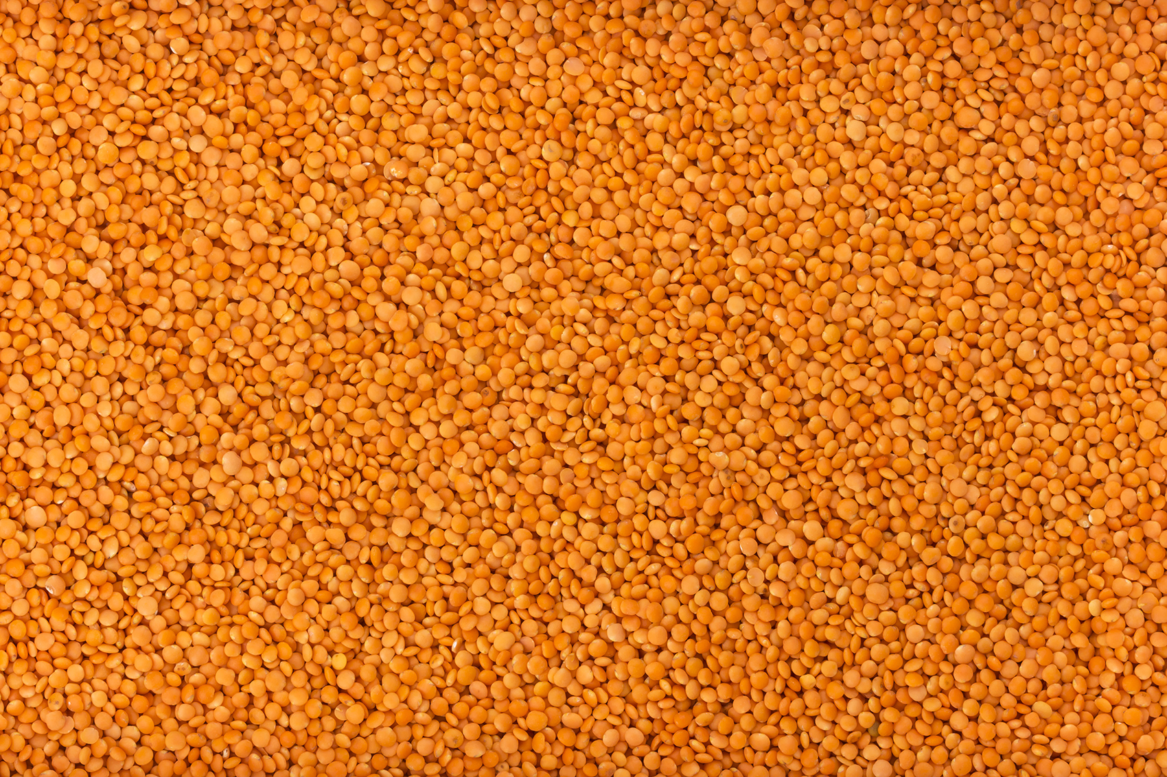 Chickpeas
