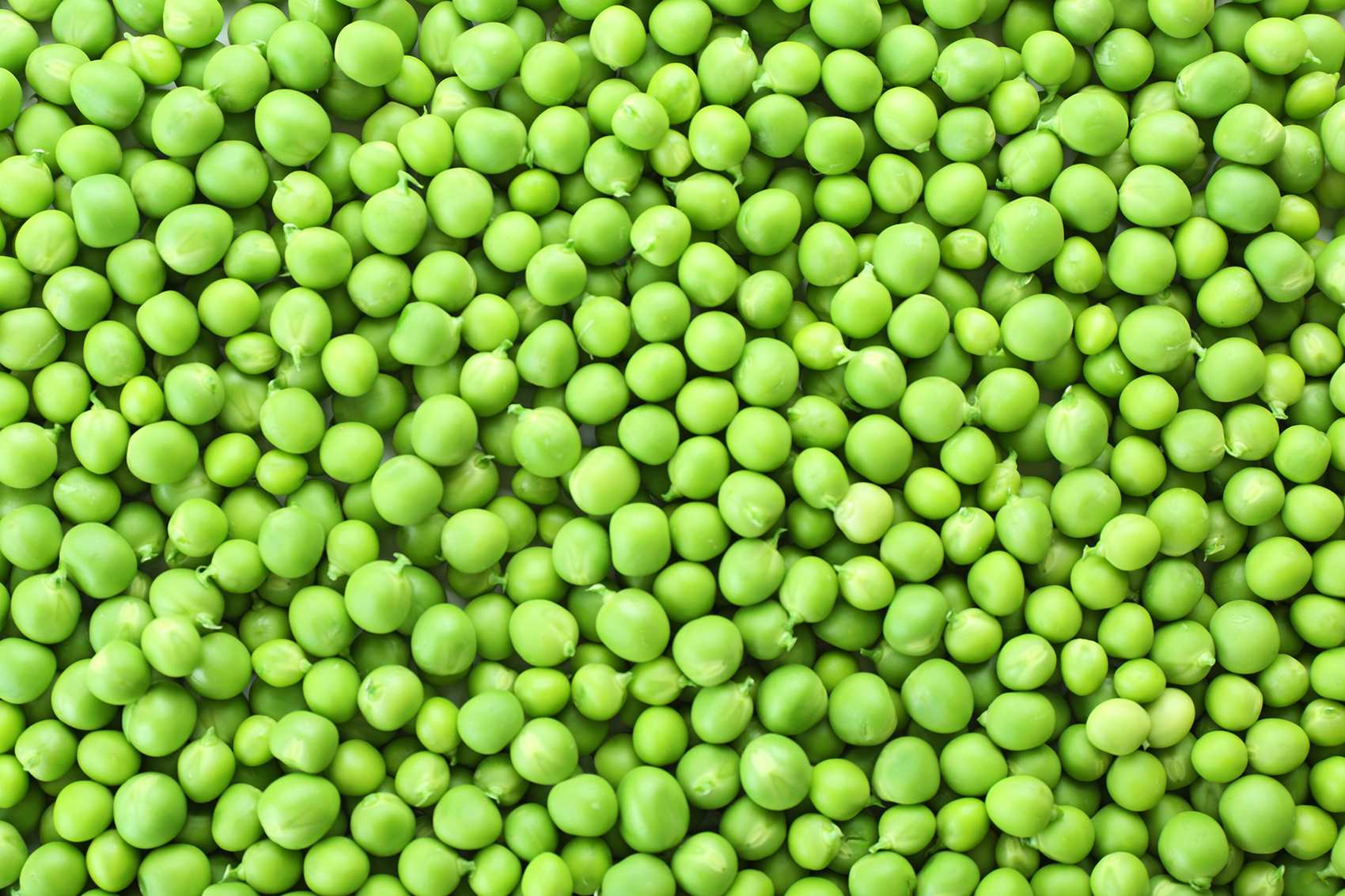 Chickpeas