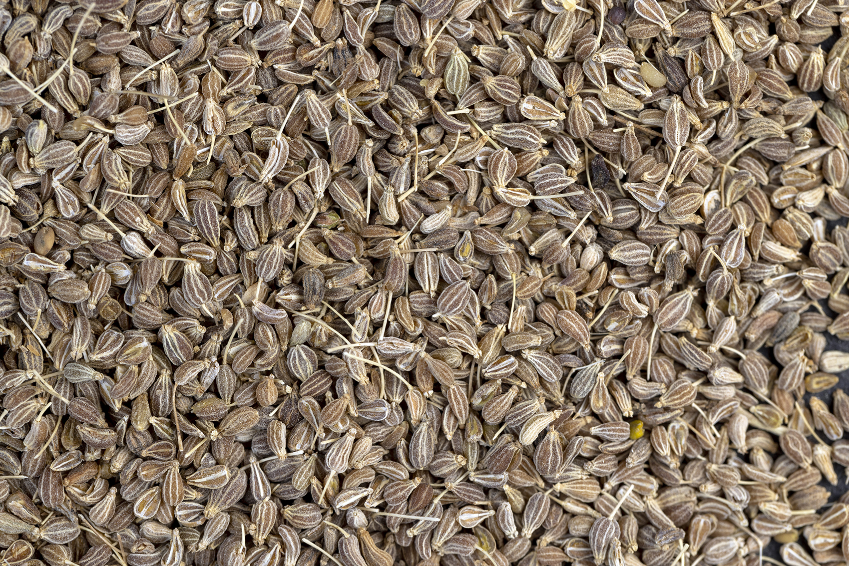 Chickpeas