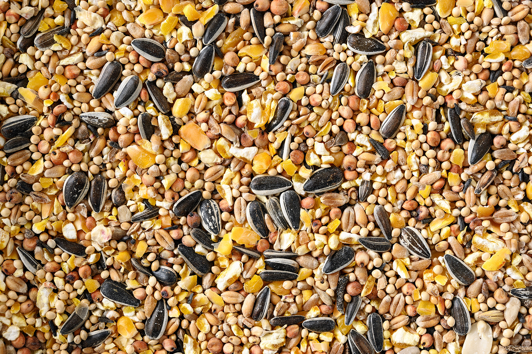 Chickpeas
